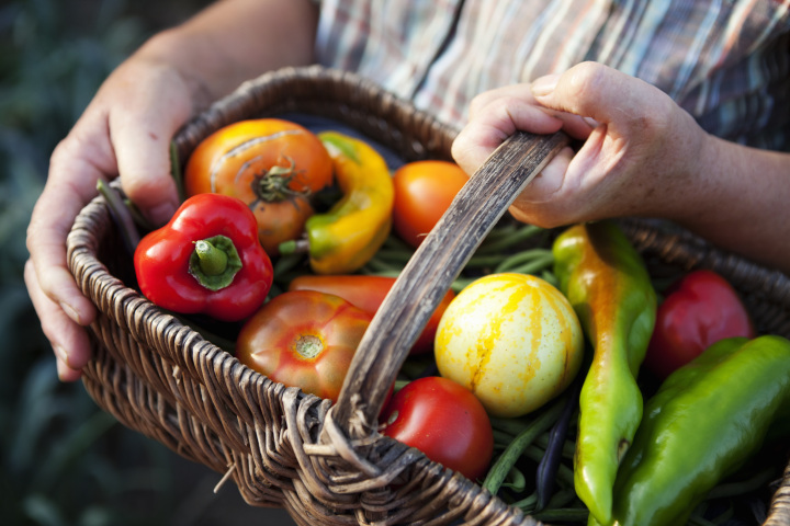 Fresh Organic food